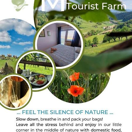 Masnec Tourist Farm Villa Miljana Kültér fotó