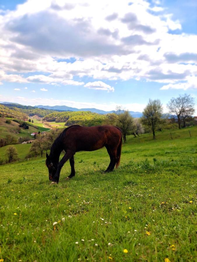 Masnec Tourist Farm Villa Miljana Kültér fotó