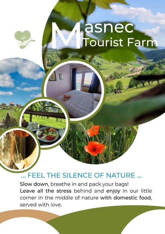 Masnec Tourist Farm Villa Miljana Kültér fotó