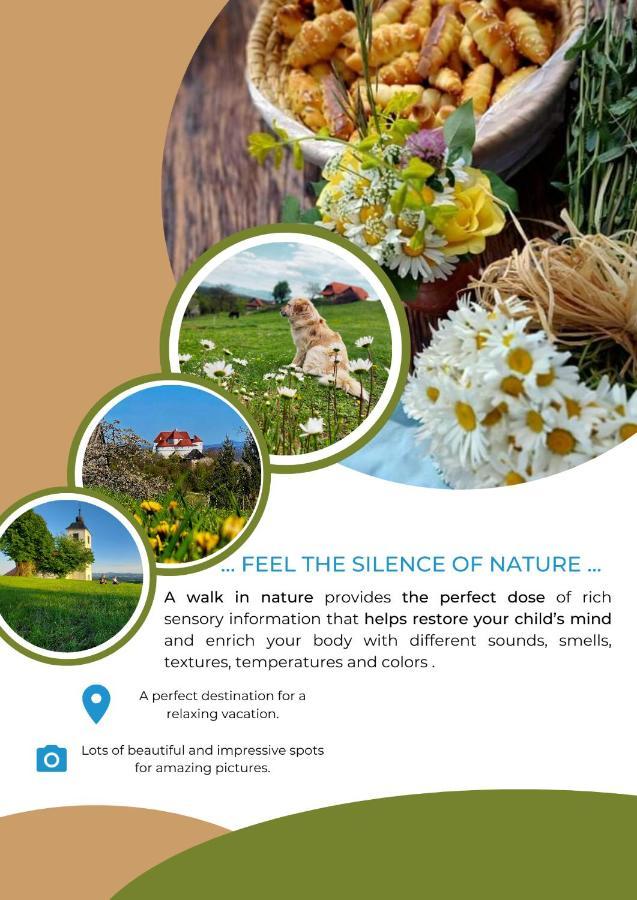 Masnec Tourist Farm Villa Miljana Kültér fotó