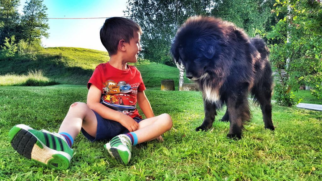 Masnec Tourist Farm Villa Miljana Kültér fotó